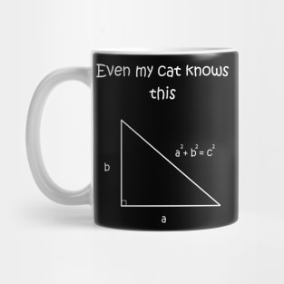 Even my cat knows Pythagorean theorem Mug